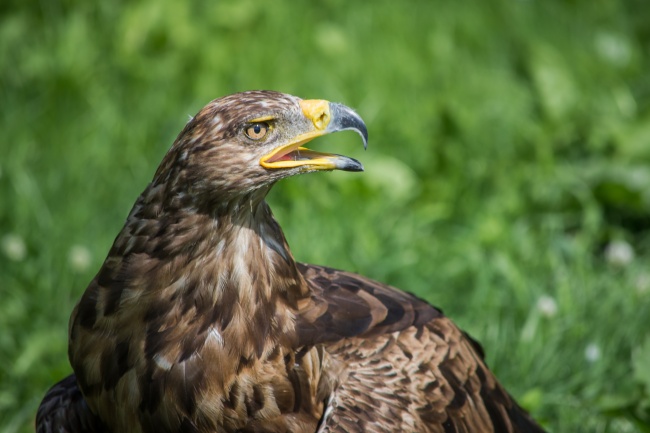 2023年6月20日安门好不好 是安装门户吉日吗