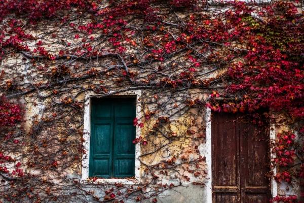 梦到了生了个男婴有什么征兆