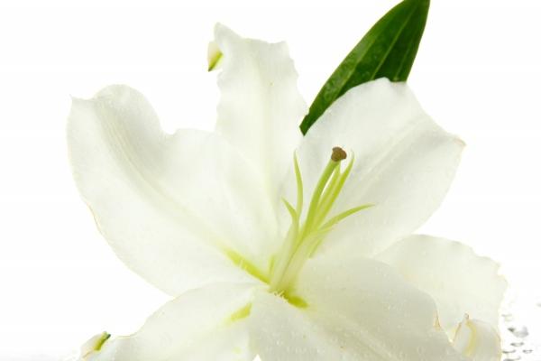 2023年6月20日搬家好吗 这天是搬家黄道吉日吗