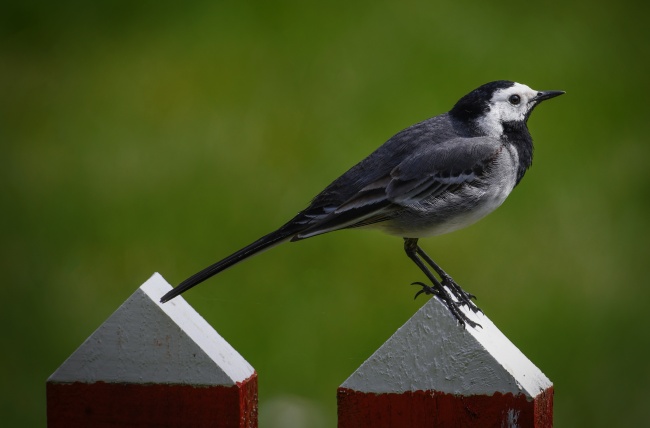 2023年6月23日搬家好不好 今天搬迁好不好