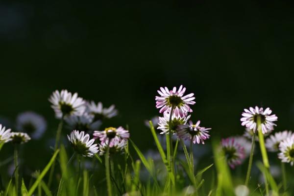 第一星运 小易占星2023年周运06.12-06.18