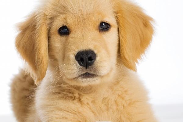 唐立淇 2023下半年12星座健康运排行!