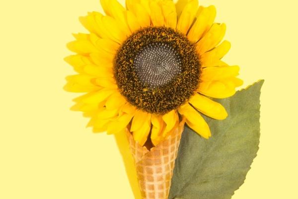 梦到一大群鱼有什么意义吗