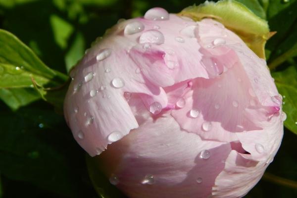 2023年6月17日五行穿衣颜色 穿衣最佳幸运色