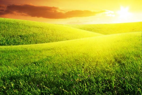 处女男天蝎女谁先主动 处女男的真爱天蝎座