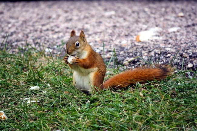闹闹女巫 0607十二星座今日运势