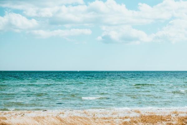 极其富有涵养的星座!贵气的他们在你身边吗?