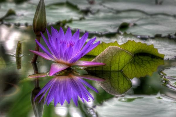 2023年6月24日宜动土吗 是动土的好日子吗