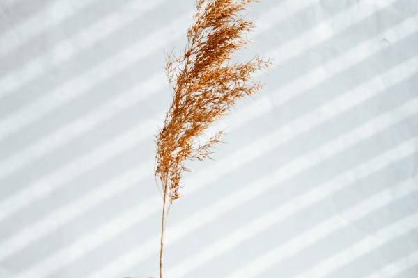 2023年6月25日财神在哪个方位 今天财神位置方向