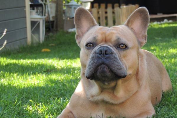 2023年6月18日五行穿衣指南 今天幸运色是什么