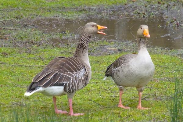 2023年6月25日动土好不好 适合建房子吗