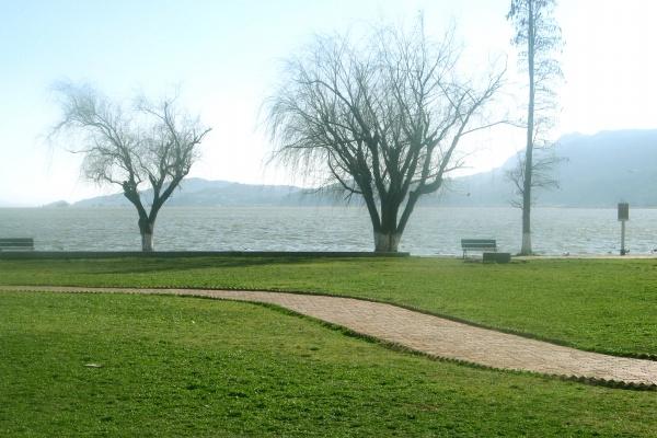 第一星运 小易占星2023年周运07.17-07.23