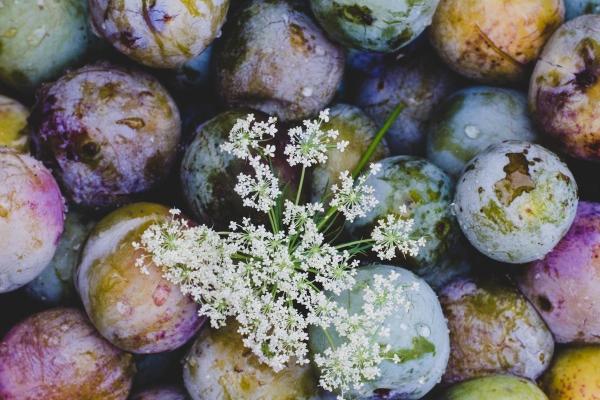 2023年6月27日动土好不好 是破土吉日吗