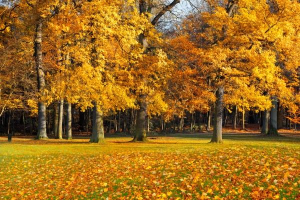 他们特别简单!非常善良真诚,完全不适合勾心斗角