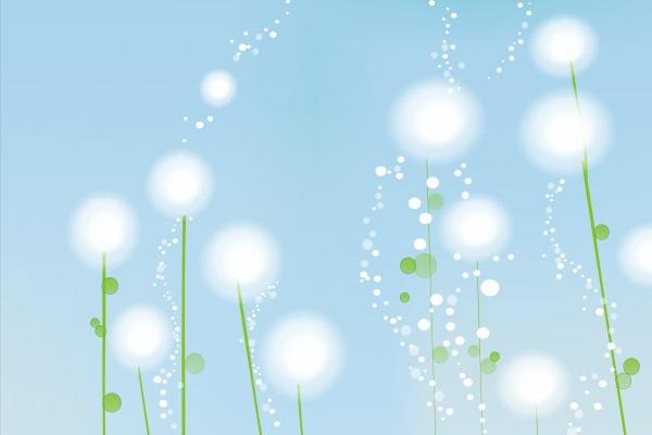 梦到了杀蟒有什么预兆