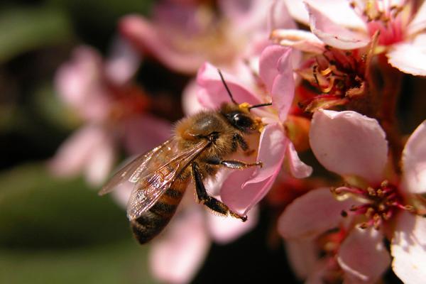 唐立淇 12星座一周运势2023.6.12—6.18