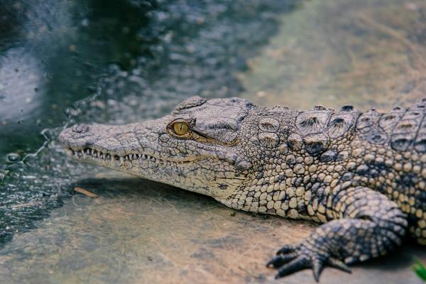 小乖麻 本周运势提醒2023/06/12-06/18