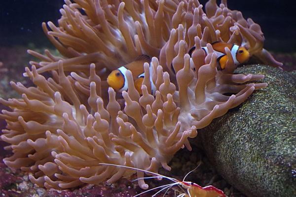 2023年7月5日结婚吉利吗 是结婚吉日吗