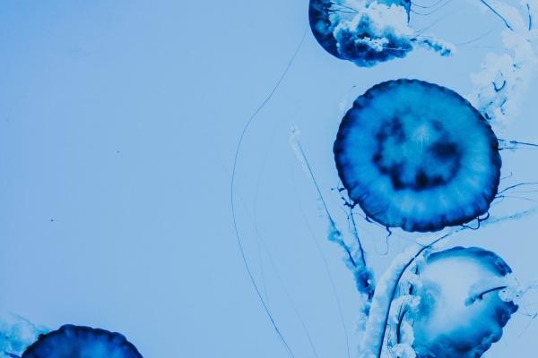 2023年7月4日搬家好不好 这天是搬家黄道吉日吗