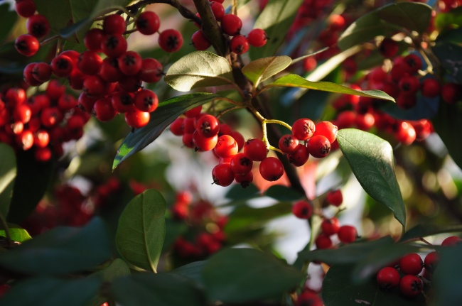 2023年6月升学宴好日子 6月升学宴哪天好
