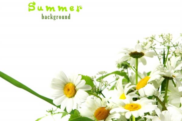 2023年7月4日结婚黄道吉日 是否适合结婚