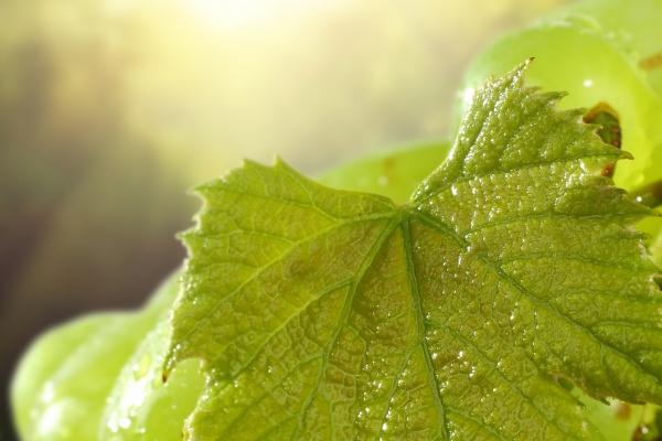 2023年7月4日适合开业吗 宜开业吗