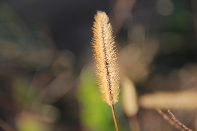 2023年7月2日开业黄道吉日查询 这天是开门大吉的日子吗