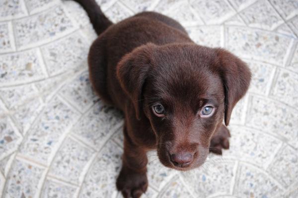 2023年7月31日可以领证吗 领证寓意好不好