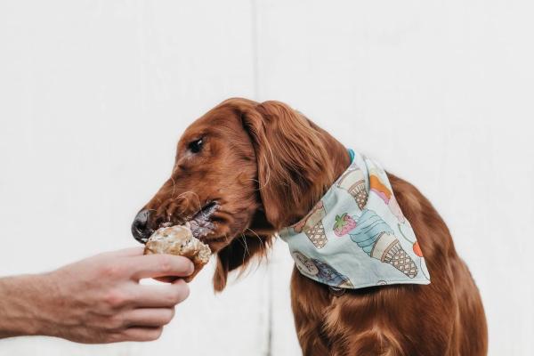 2023年7月24日领结婚证好不好 登记结婚合不合适