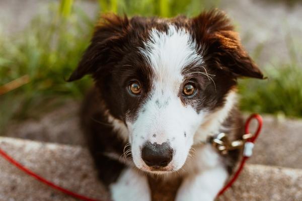 最值得双子座付出真爱的星座 最匹配的几个星座盘点