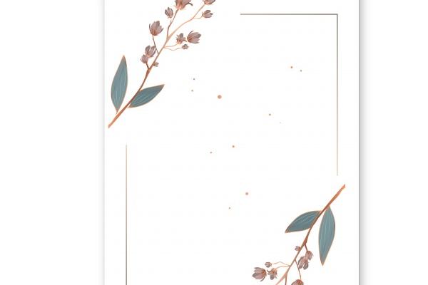 2023年端午节出生的兔宝宝好不好 命运如何