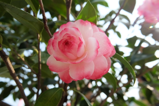 2023年家庭破裂星座 这几个星座着重提防!