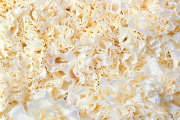 2024年好到爆的星座 这几个星座龙年开启新篇章