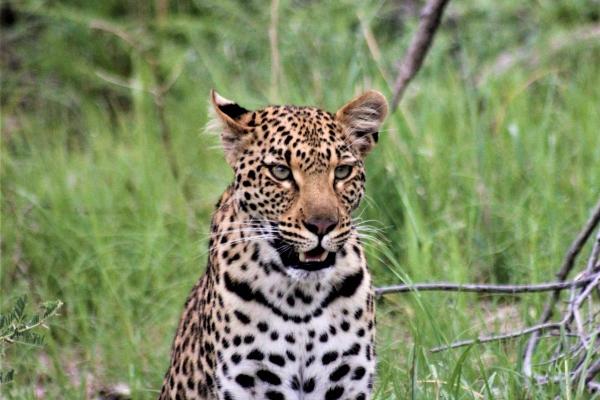 凌晨出生是什么时辰 十二时辰制