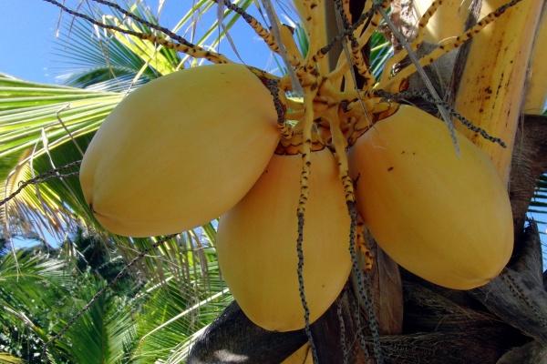 苏珊米勒 今日星座运势查询6.19