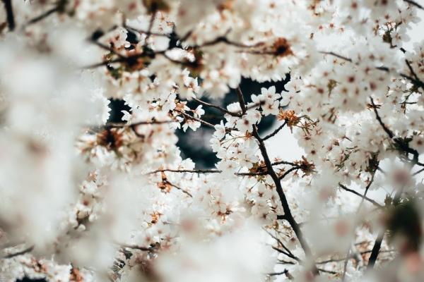 预测2023年下半年,哪个星座将迎来幸福美满的家庭生活?