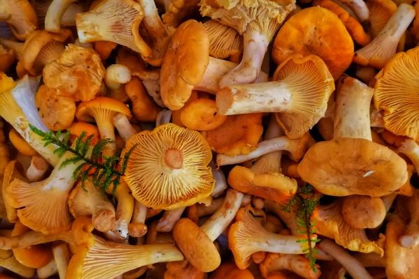 2023年7月4日签约好不好 签订合同好不好