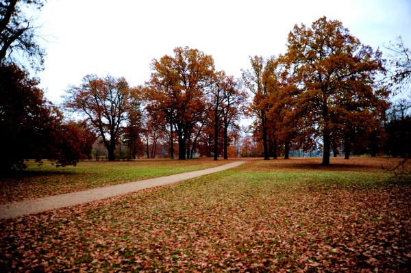 闹闹女巫 0619十二星座今日运势