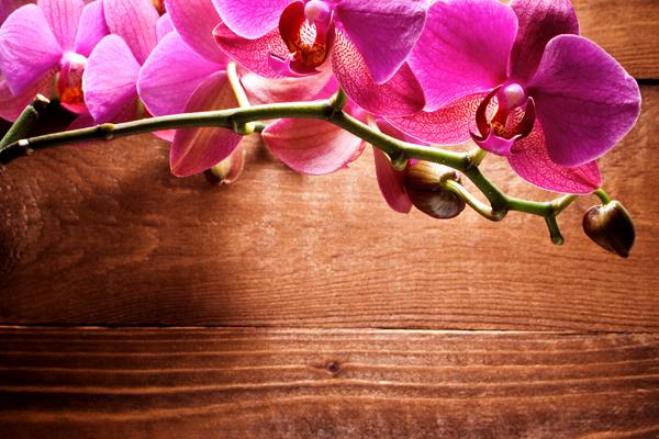 2023年10月桃花运最好的星座 吸引力很强