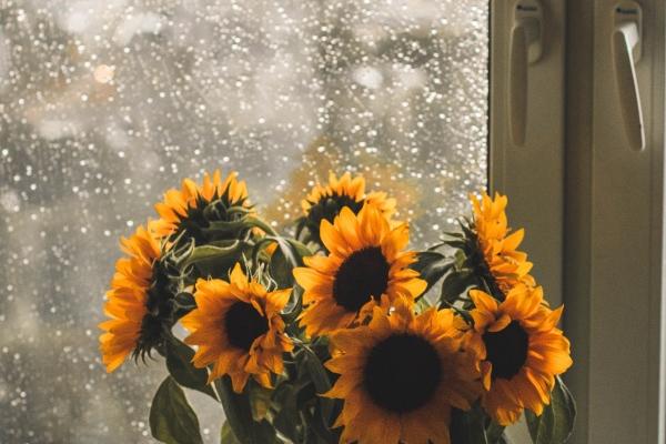 十二星座的最佳婚配表 12星座的最佳配对查询