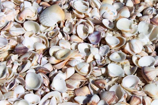 2023年7月25日结婚吉利吗 是否适合结婚