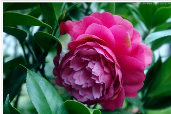 2023年7月16日适合签约吗 签订合同好不好