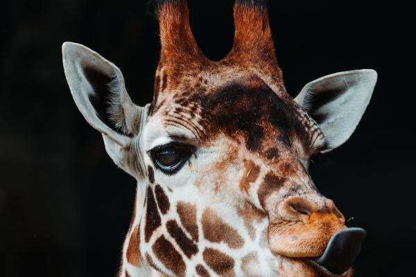 闹闹女巫 下半年轻松迎大运的星座,慢慢来啥也不缺!