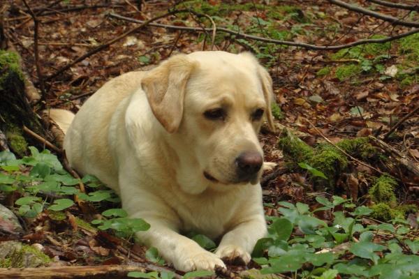 2023年7月30日可以结婚吗 今日嫁娶日子好不好