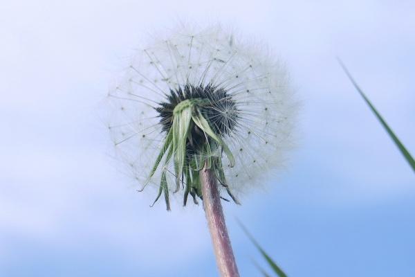 2023年7月30日适合开业吗 是不是黄道吉日