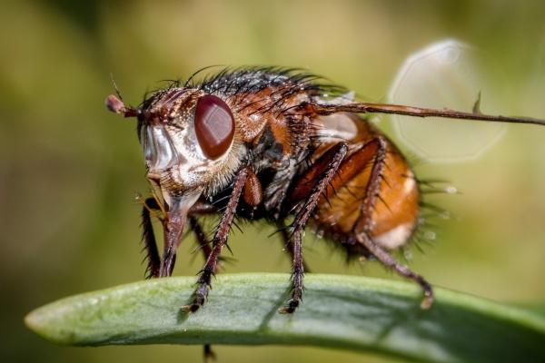 星盘南北交点宫位查询 与占星术的关系