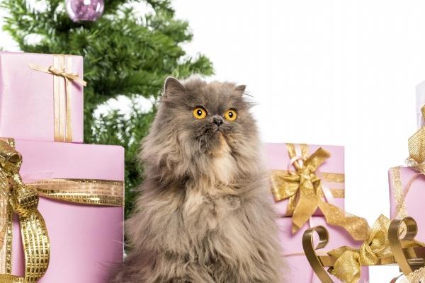 2023年7月2日动土好吗 适合建房子吗