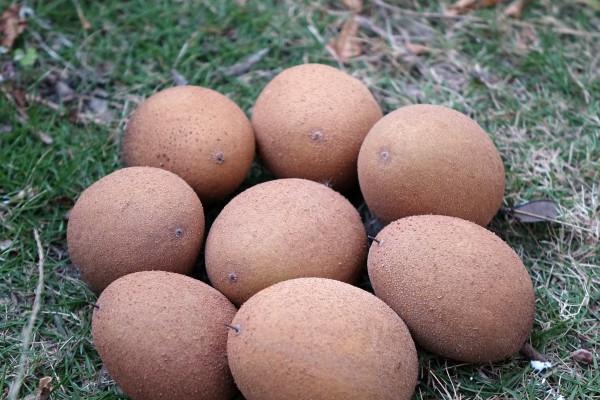 星座月份表 12星座配对最全版