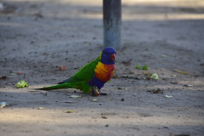 2023年7月10日出行好不好 是出门的好日子吗