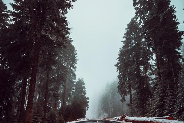 2023年7月剖腹产吉日 生孩子最好的日子